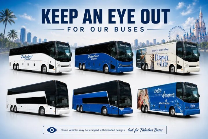 Six buses with varying designs, some branded, promote Fabulous Buses against a backdrop of palm trees and skyline.